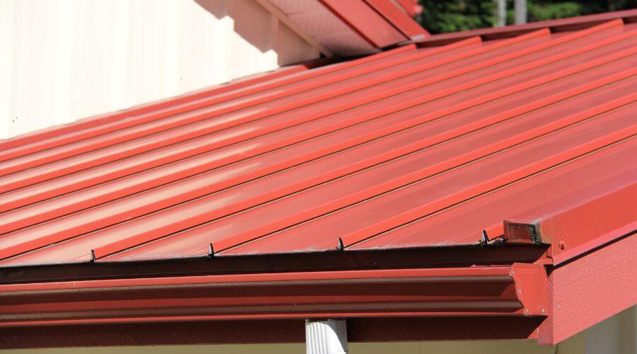 Roof Gutter Cleaning in Dudley, GA